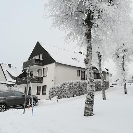 Апартаменти Haus Schneider Вінтерберг Екстер'єр фото